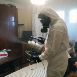 Дезинфекция от клопов в Белой Холунице